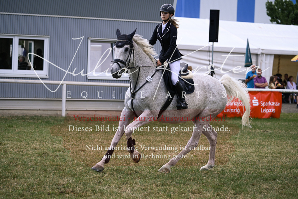 DSC_0961 | Pferde- und Turnierfotografie in Westsachsen. Pferdeportraits, Auftragszeichnungen und intuitive Kunst.