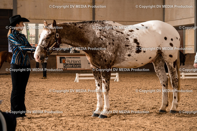 Heiligenwald Tag 1-11 | dv-media-shop - Realized with Pictrs.com