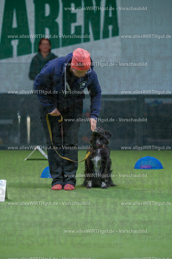7R501110 | Professionelle Tierfotografie in Mönchengladbach von Daniel Wirth (allesWIRTHgut). Liebevolle & natürliche Bilder von Hunden & Katzen für unvergessliche Erinnerungen.