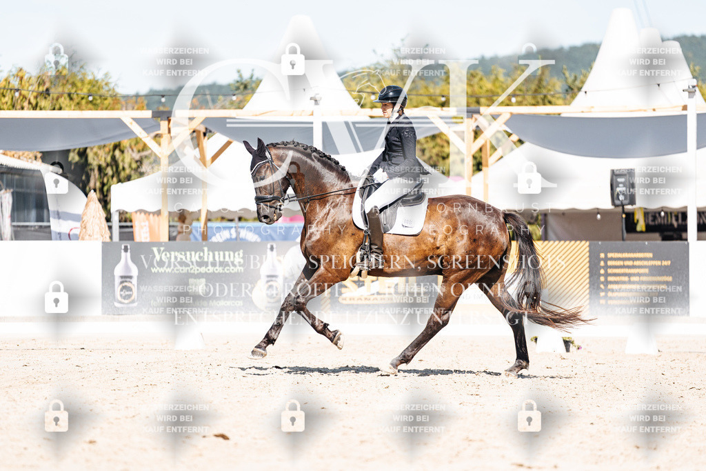 CK908571 | Turnierfotografie Pferdefotografie Trier Rheinland-Pfalz Pferdesport Reitsport Tierfotografie Sportfotografie Pferdevideo Pferdevideografie Equestrianvideography equestrianphotography  - Realisiert mit Pictrs.com