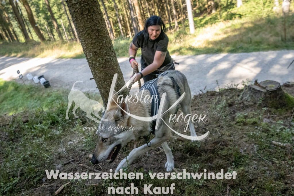 1225_ZZ94488 | kk-dogfotos