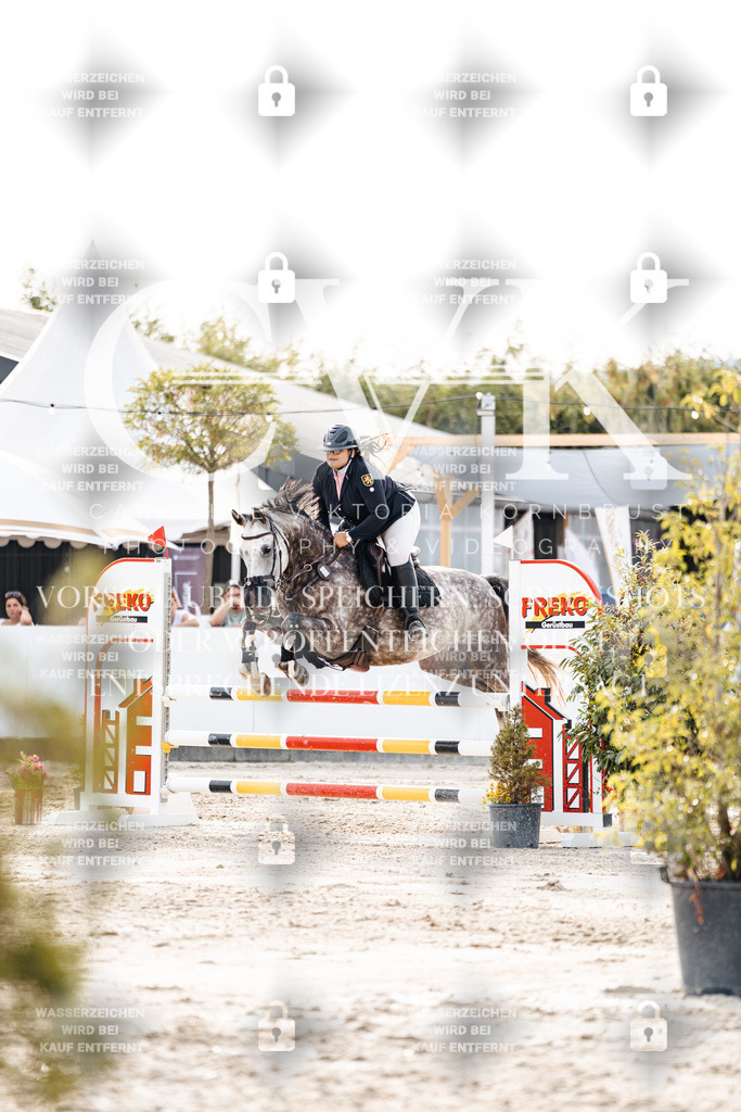 CK907017 | Turnierfotografie Pferdefotografie Trier Rheinland-Pfalz Pferdesport Reitsport Tierfotografie Sportfotografie Pferdevideo Pferdevideografie Equestrianvideography equestrianphotography  - Realisiert mit Pictrs.com