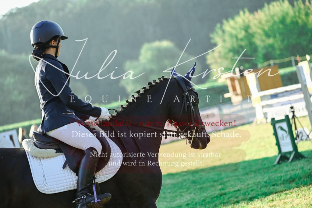 DSC_4063 | Pferde- und Turnierfotografie in Westsachsen. Pferdeportraits, Auftragszeichnungen und intuitive Kunst.