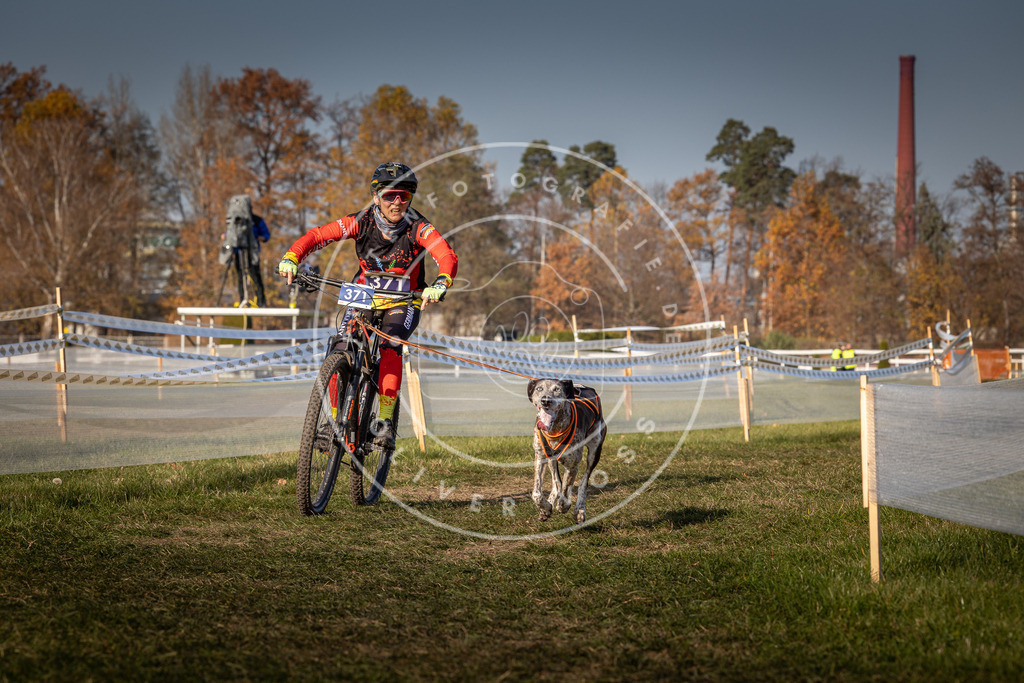 CaniXpix_0L8A7871 | Hundefotografie, Tierfotograf, Pfotenfotografie, Fotoshooting Hund, Hunde Portrait, Hundesport, Hundeportraits, Heideshooting, Hunde, Sportfotograf, Hundefotograf, Turnierhundsport, THS,  - Realisiert mit Pictrs.com