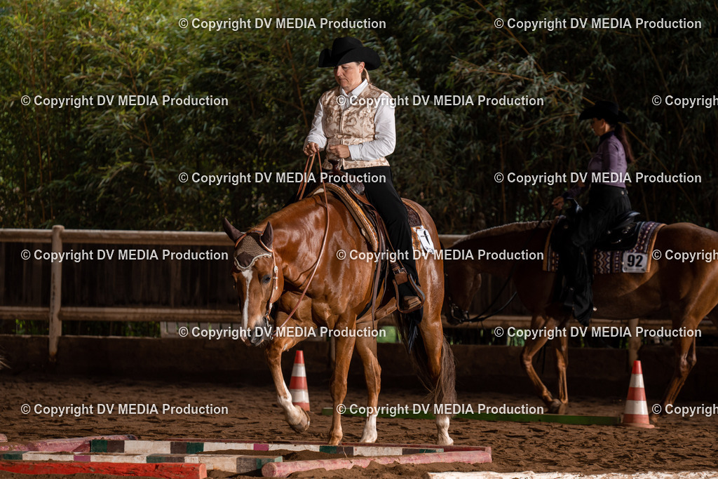 Erbach Tag 3-185 | dv-media-shop - Realisiert mit Pictrs.com