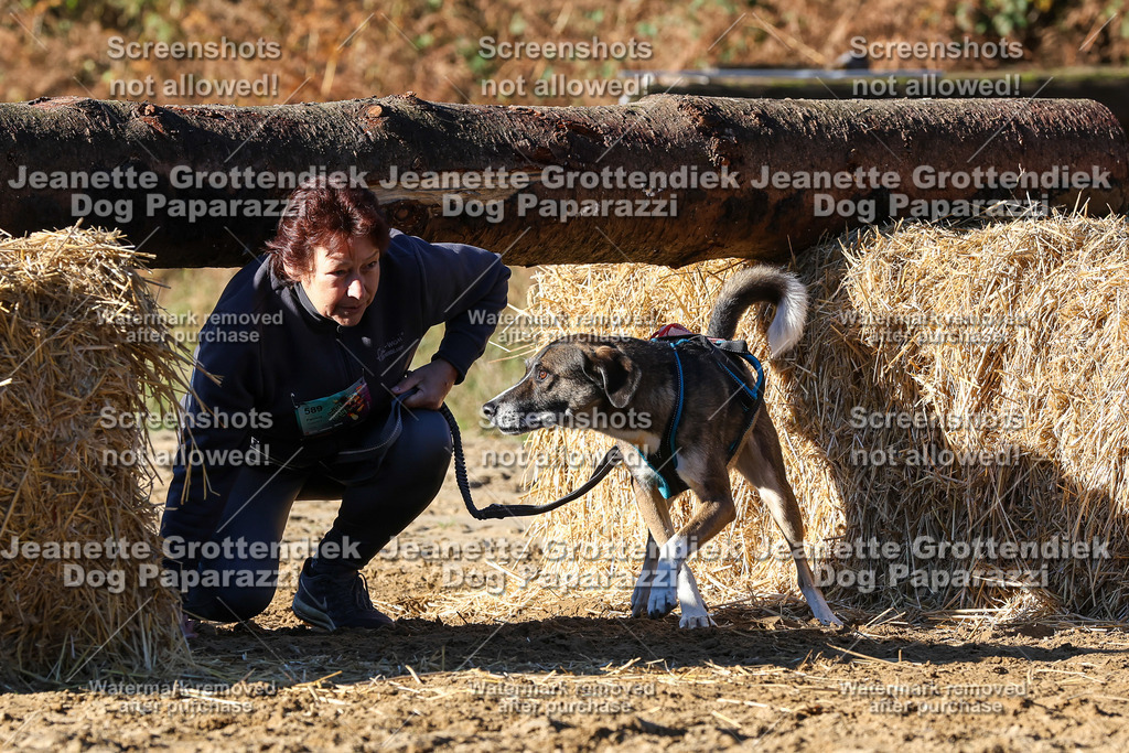 Dog Paparazzi - Strongdog 10-25-1850 | Dog Paparazzi Jeanette Grottendiek Fotografie & Videografie - Realisiert mit Pictrs.com