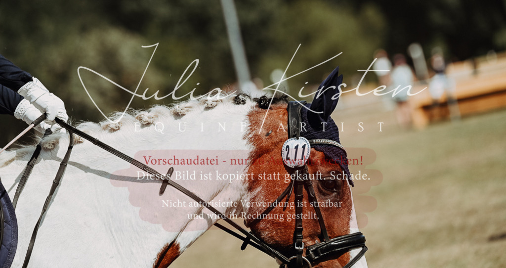 DSC_9980 | Pferde- und Turnierfotografie in Westsachsen. Pferdeportraits, Auftragszeichnungen und intuitive Kunst.