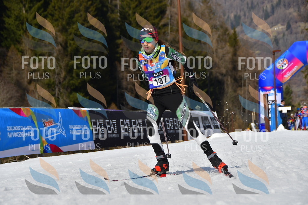 _DSC0044 | holidayphoto