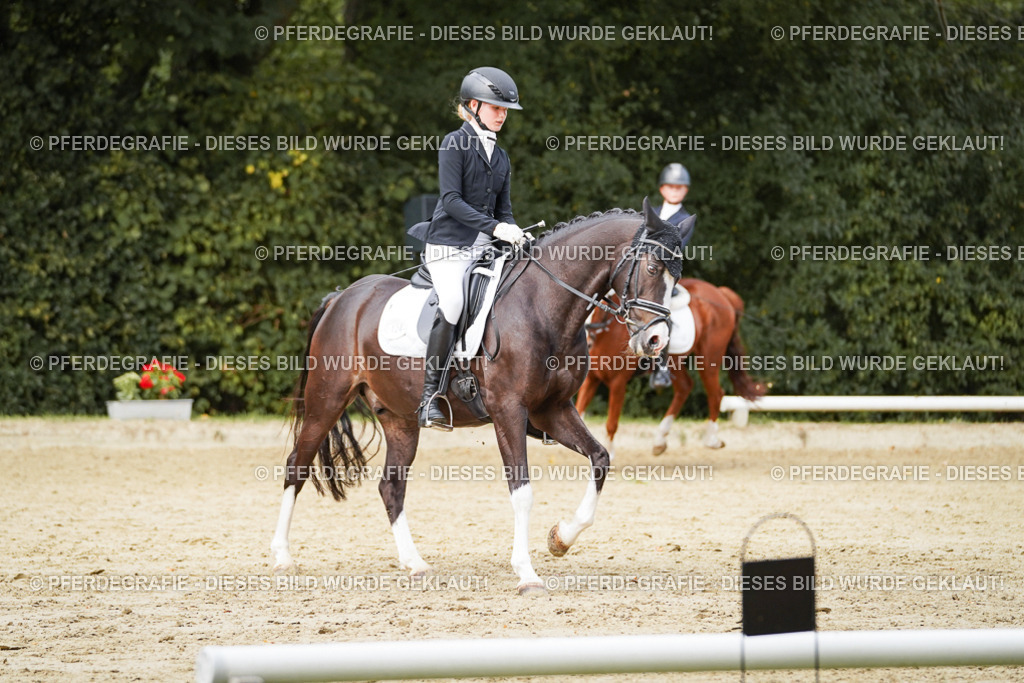 DSC03797 | Pferdegrafie