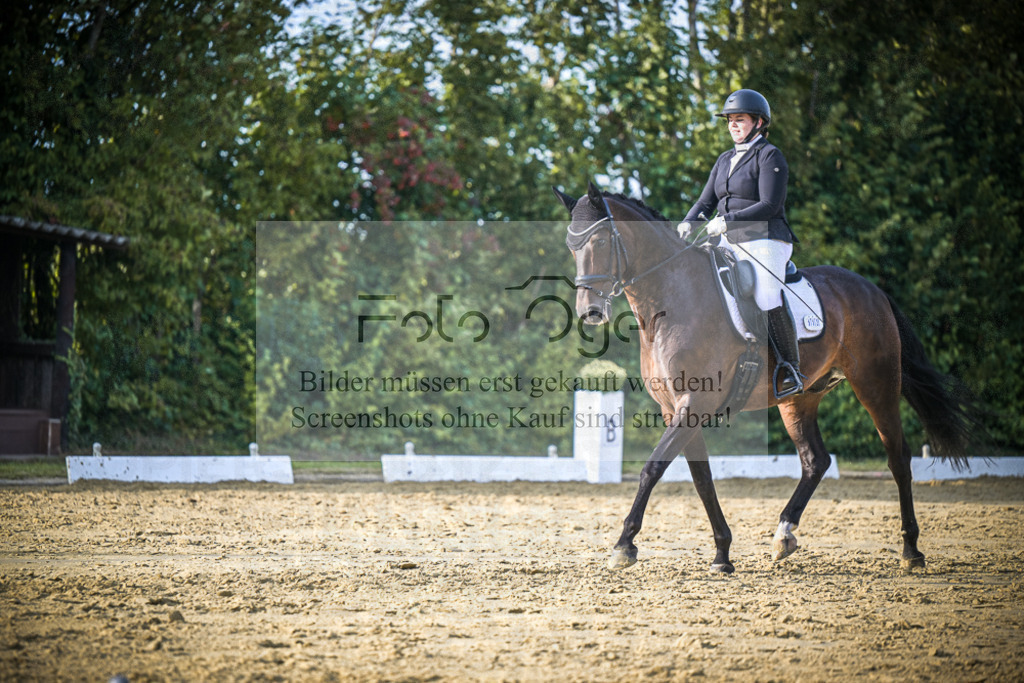 DOS_1405 | Entdecke hochwertige Reitturnierfotos von Foto Oger. Professionell, emotional und authentisch – jetzt Lieblingsmomente im Shop bestellen.Deutschlandweite Turnierfotografie. - Realisiert mit Pictrs.com