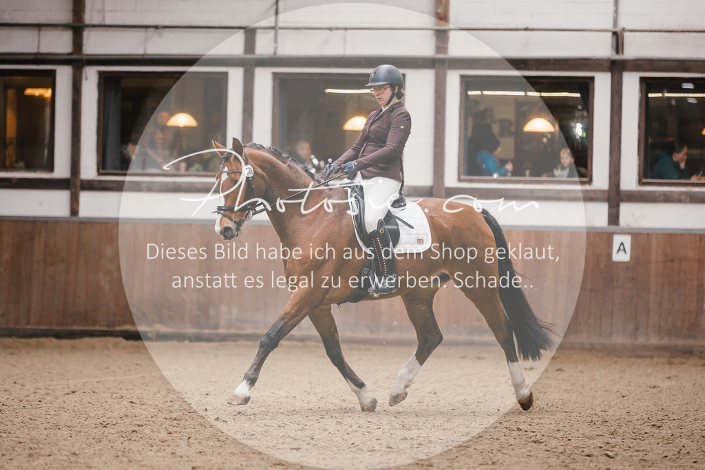 3I6A6886 | Stimmungsvolle Portraits und Reitsportfotografie im Ruhrgebiet und im Münsterland.

Pferdefotografie, Hundefotografie, Tierfotografie, Reportagen, Portraits von Tier und Mensch, Turnierfotografie in Bochum, Recklinghausen, Marl, Haltern am See, Dülmen.. - Realisiert mit Pictrs.com