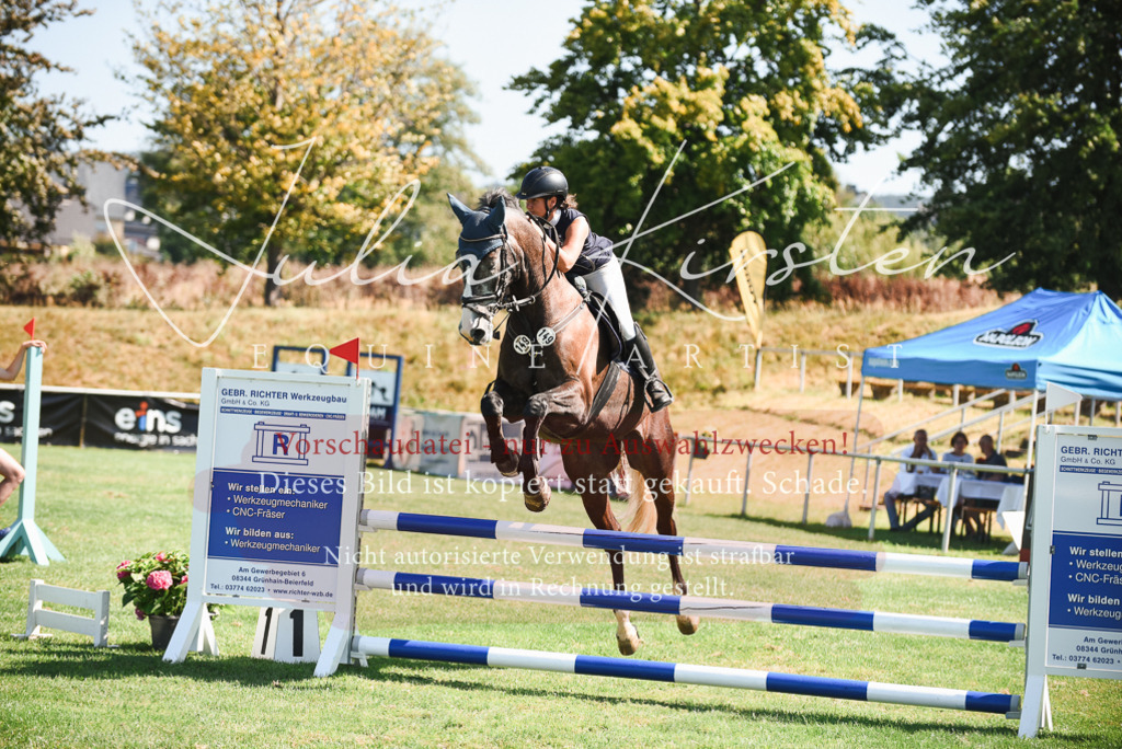 DSC_2877 | Pferde- und Turnierfotografie in Westsachsen. Pferdeportraits, Auftragszeichnungen und intuitive Kunst.