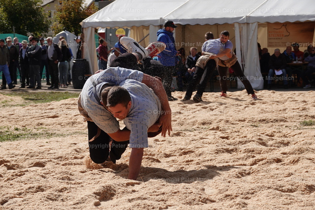 DSC00062 | Schwingen - Realisiert mit Pictrs.com