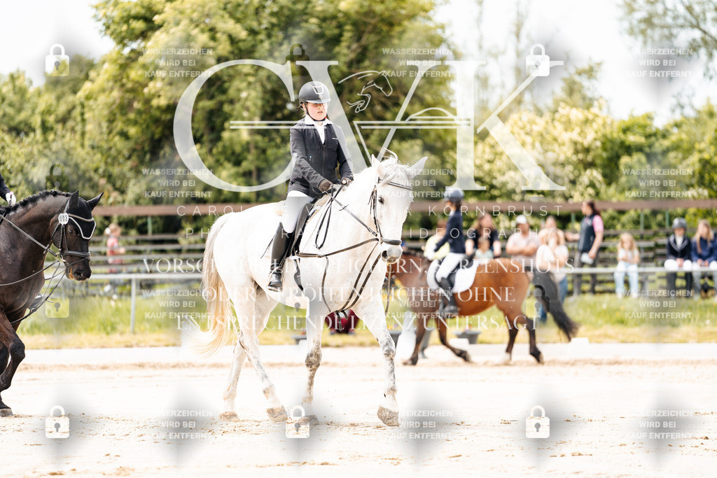CK902633 | Turnierfotografie Pferdefotografie Trier Rheinland-Pfalz Pferdesport Reitsport Tierfotografie Sportfotografie Pferdevideo Pferdevideografie Equestrianvideography equestrianphotography  - Realisiert mit Pictrs.com