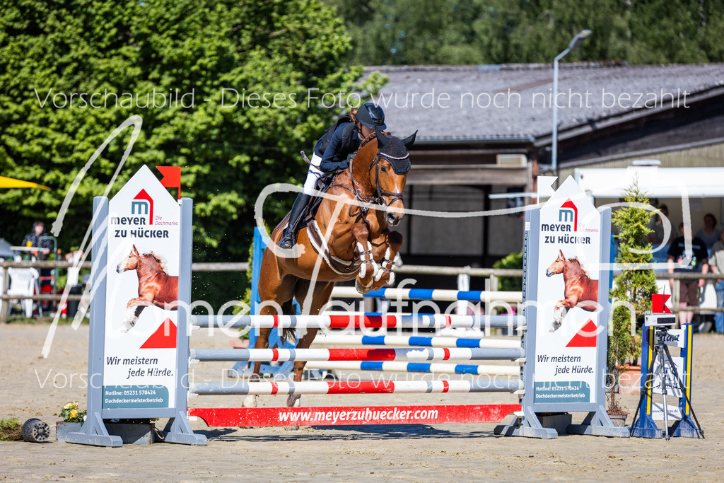 Donop24-A2Spr-091 | MomenTaufnahmen Pferdesportfotos