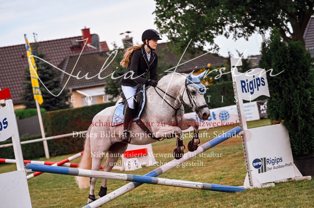 DSC_5519-2 | Pferde- und Turnierfotografie in Westsachsen. Pferdeportraits, Auftragszeichnungen und intuitive Kunst.