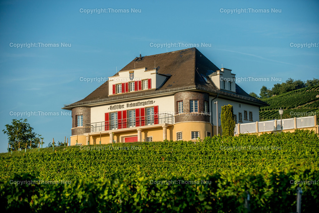 _DSC7208 | HP,Rebmuttergarten, Bild: Thomas Neu