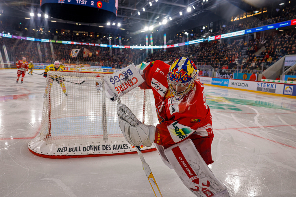 EHCB vs SCB 20260110_wb-3473 | Sportbilder, Sportfotograf, Hochzeits- und Eventfotografin, Flugshows, Portraits und Tiershooting, Aviation, Downhill, Nationalleague, Swissleague, International
