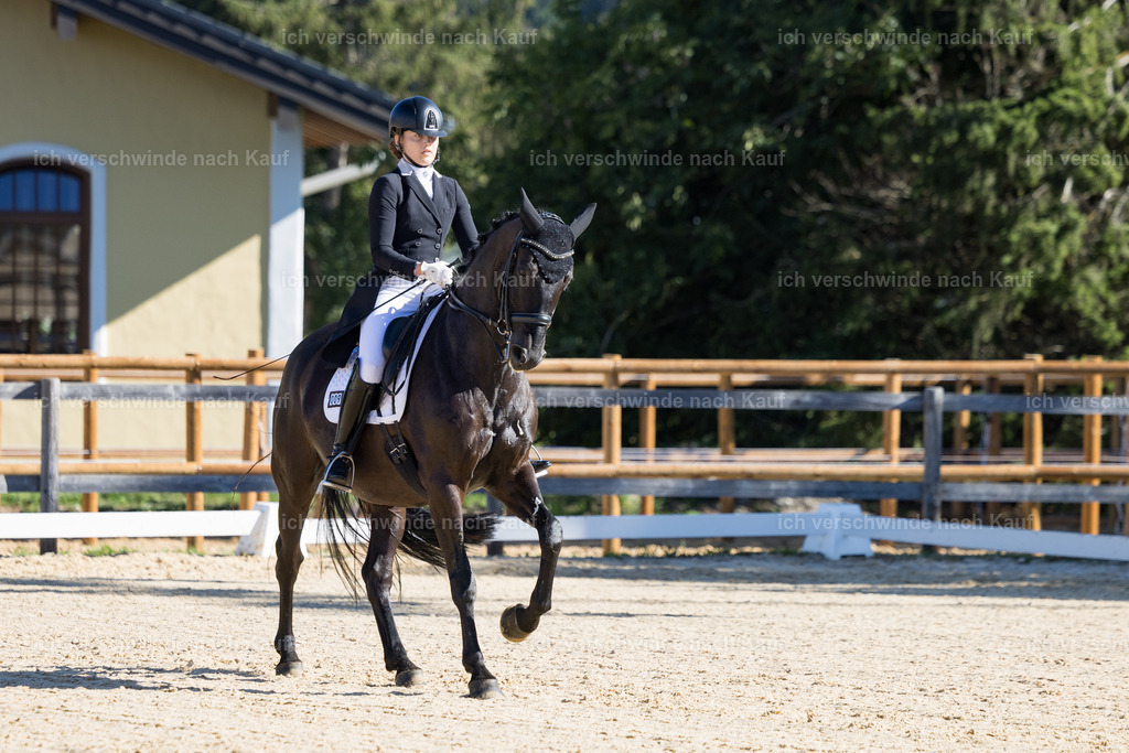 FHC2026_P07_9_17435 | working equitationturnier fotograf videograf stoibphotography marixx film working equitation deutschland reitsport turnierfotografie eventfotografie equestrian events