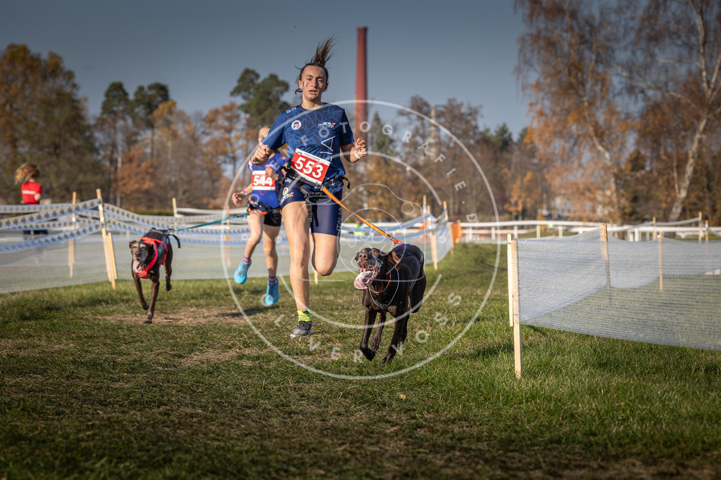 CaniXpix_0L8A9081 | Hundefotografie, Tierfotograf, Pfotenfotografie, Fotoshooting Hund, Hunde Portrait, Hundesport, Hundeportraits, Heideshooting, Hunde, Sportfotograf, Hundefotograf, Turnierhundsport, THS,  - Realisiert mit Pictrs.com