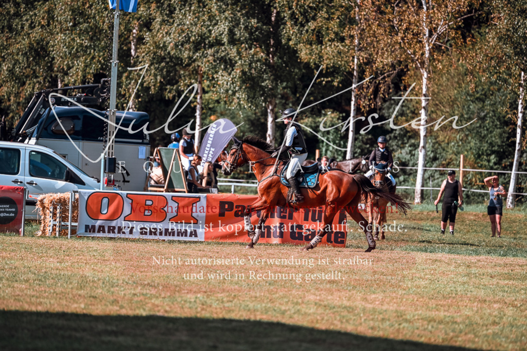 DSC_0721 | Pferde- und Turnierfotografie in Westsachsen. Pferdeportraits, Auftragszeichnungen und intuitive Kunst.