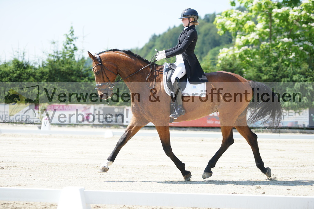 DSC02243 | equestrian-live-com