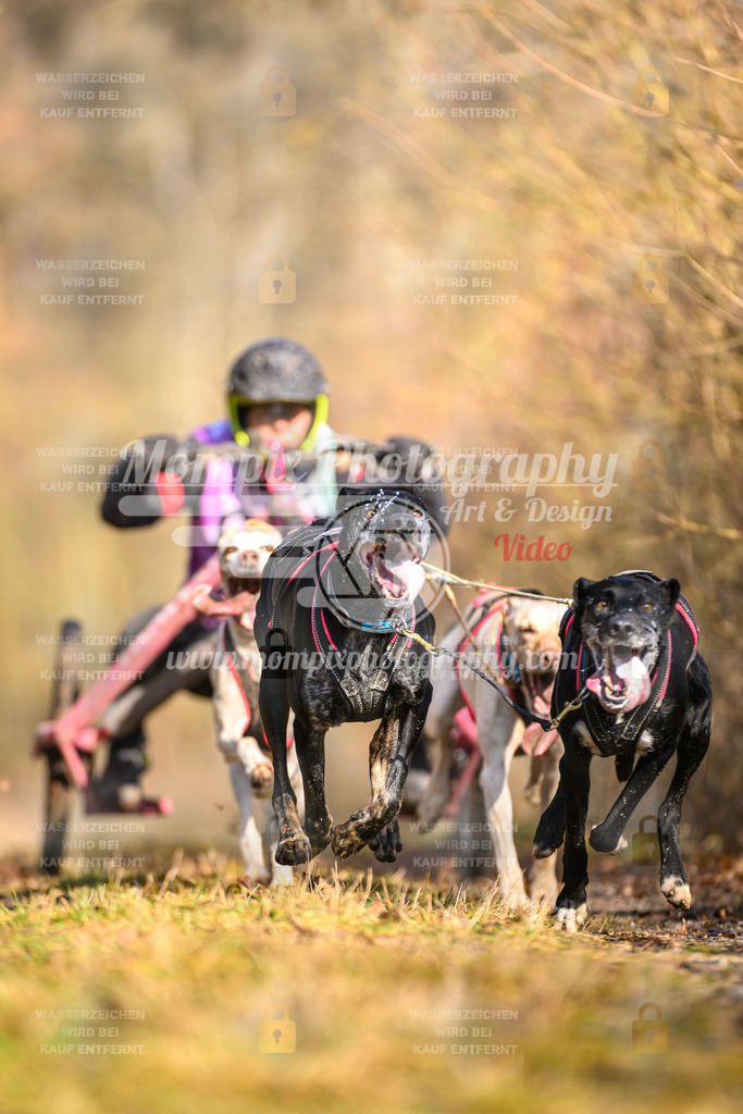 MompixPhotography_Schwabentrail2025_SO_Kart-12 | PayLife