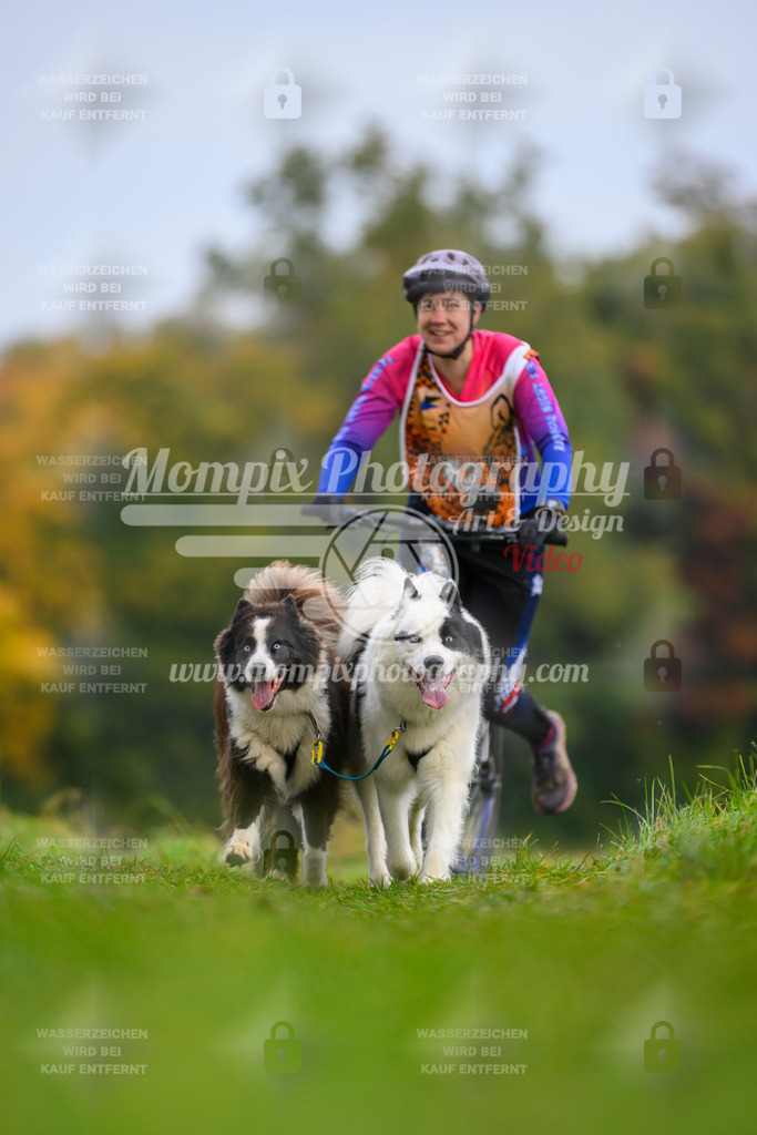 MompixPhotography_CDLBDB2025_DI_DS-37 | PayLife