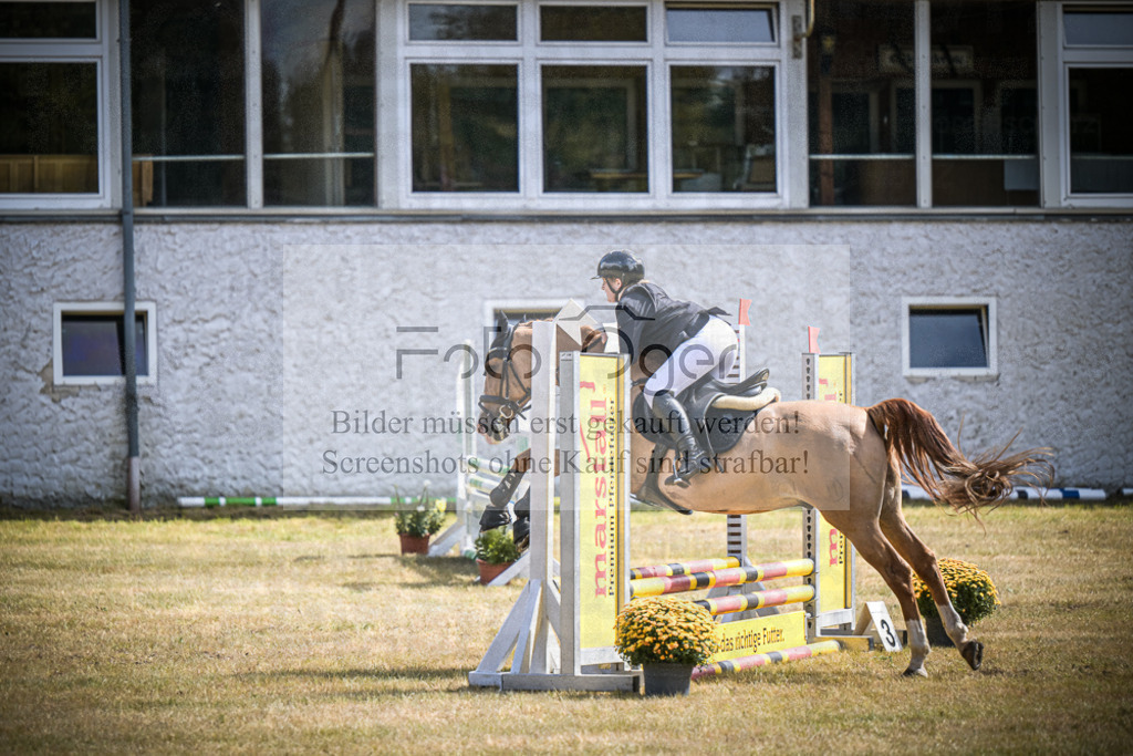 DOS_0458 | Entdecke hochwertige Reitturnierfotos von Foto Oger. Professionell, emotional und authentisch – jetzt Lieblingsmomente im Shop bestellen.Deutschlandweite Turnierfotografie. - Realisiert mit Pictrs.com