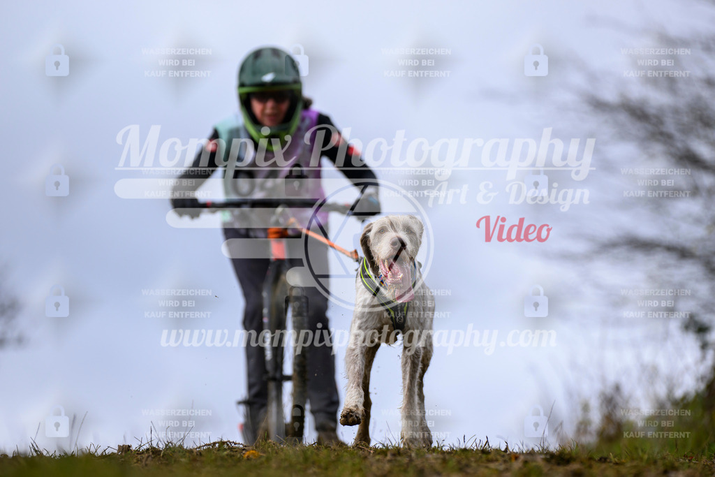 MompixPhotography_2OATB_SO_Scooter-45 | PayLife