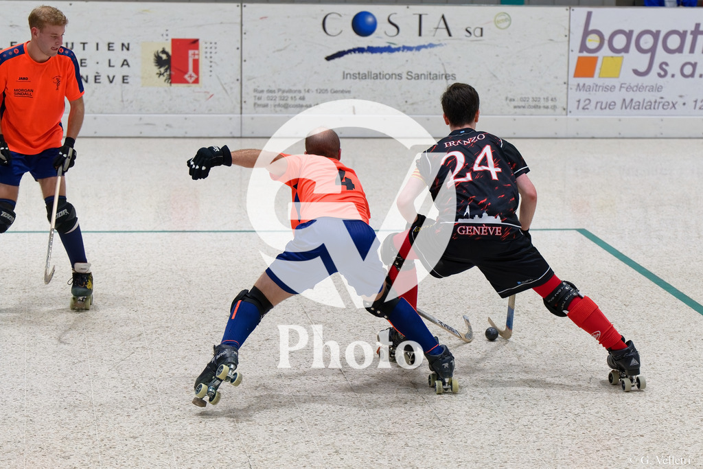 DSC_3627 | Velletri Photo