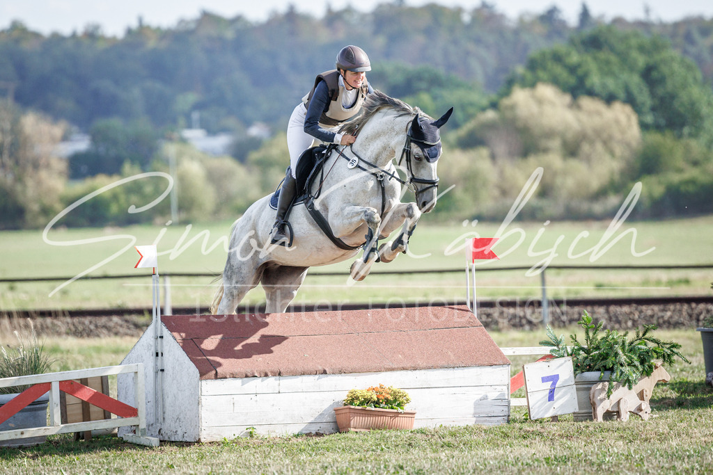 20260905-_3LI0083 | Tierfotografie Pferde, Hunde, Katzen, Haustiere.
Turnierfotografie Reitturniere, Reiten, Springreiten, Dressur in Hanau, dem Main-Kinzig-Kreis und dem Rhein-Main- Gebiet um Frankfurt