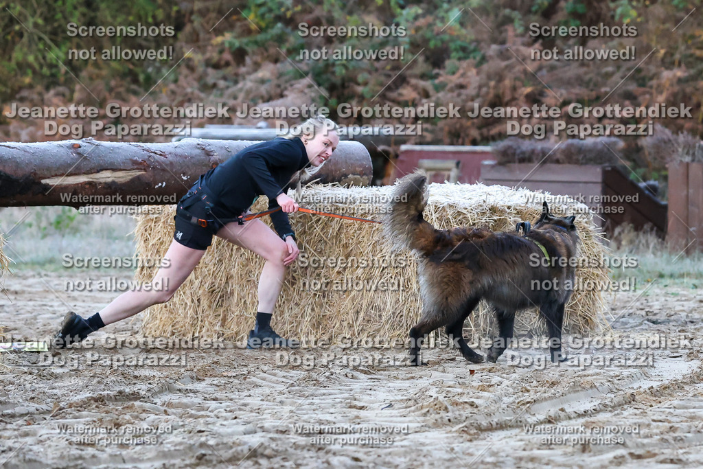 Dog Paparazzi - Strongdog 10-25-57 | Dog Paparazzi Jeanette Grottendiek Fotografie & Videografie - Realisiert mit Pictrs.com