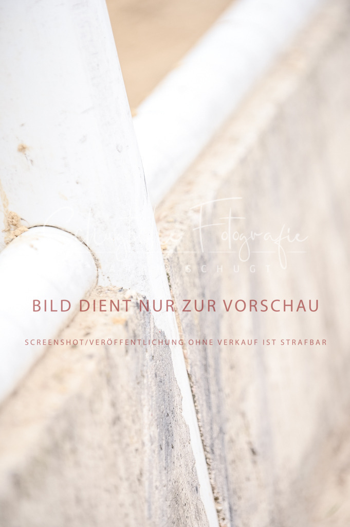 Schugtsche-Aluta25-43.EDressur -133 | Schugtsche Fotografie - Realisiert mit Pictrs.com