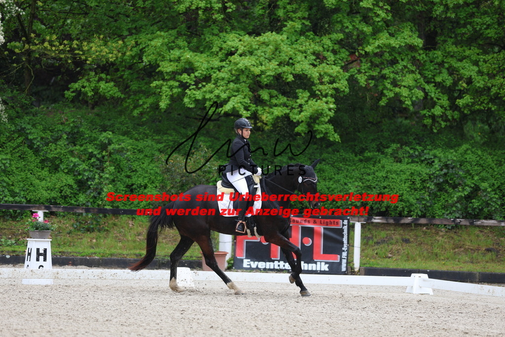 A40A8800 | lmwpictures - Realisiert mit Pictrs.com