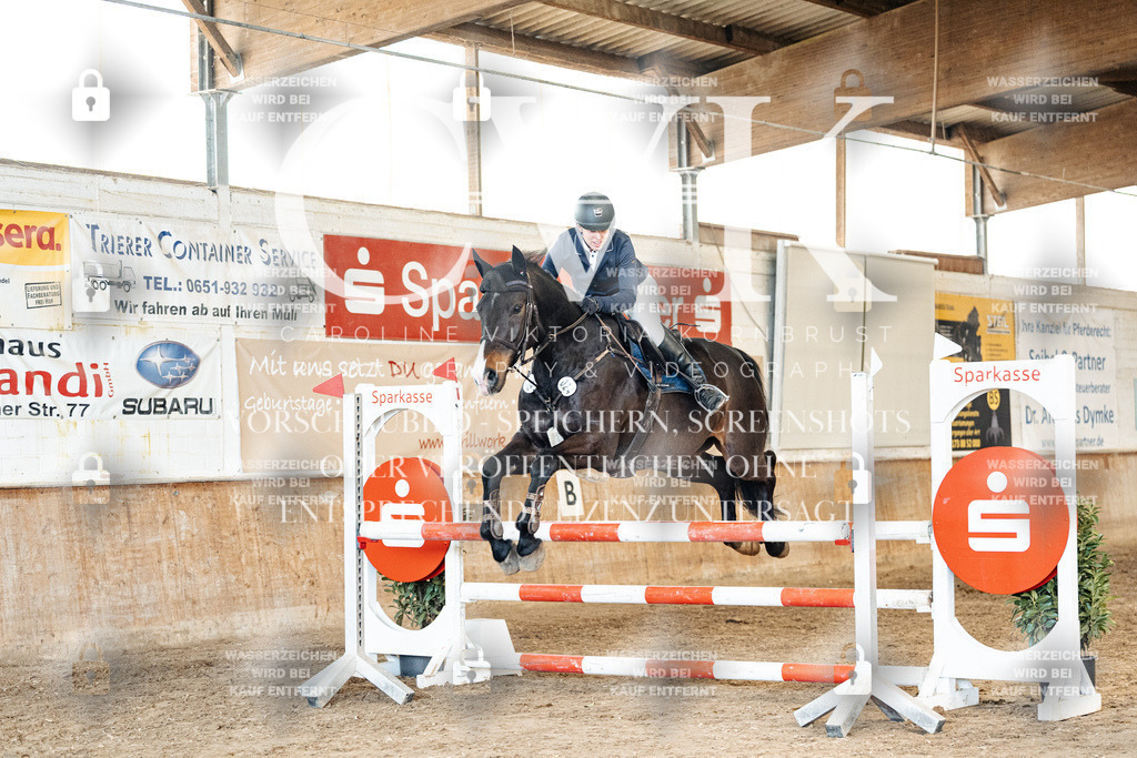 CK905113 | Turnierfotografie Pferdefotografie Trier Rheinland-Pfalz Pferdesport Reitsport Tierfotografie Sportfotografie Pferdevideo Pferdevideografie Equestrianvideography equestrianphotography  - Realisiert mit Pictrs.com