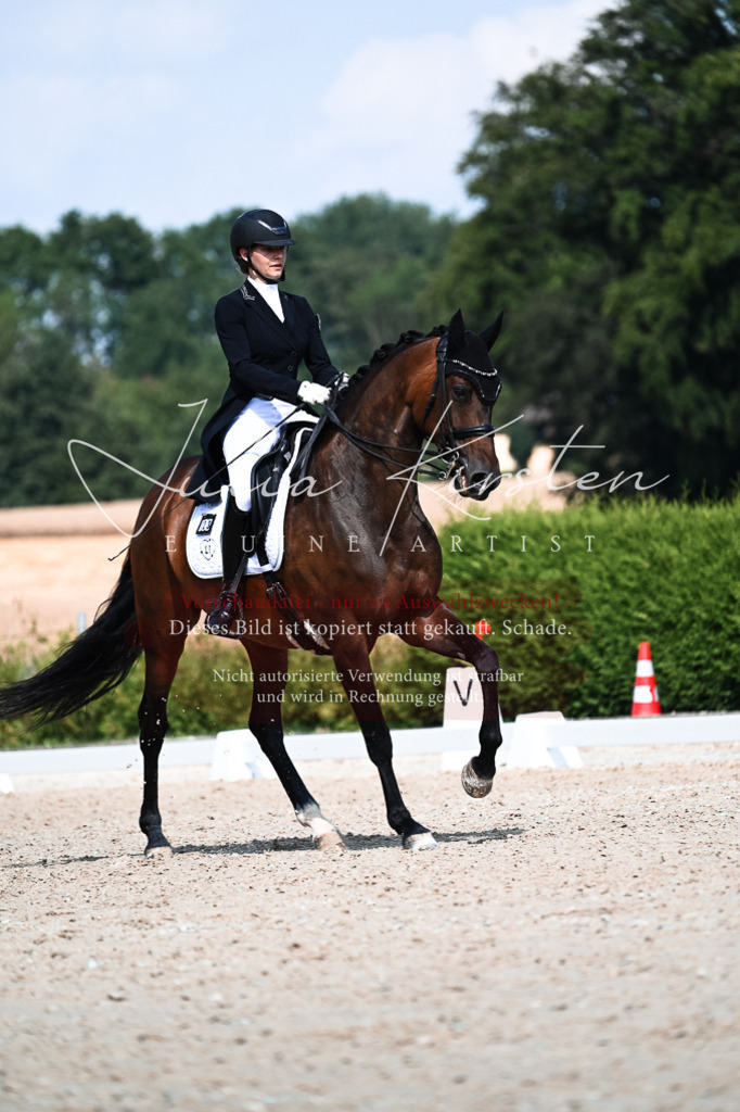 DSC_3089 | Pferde- und Turnierfotografie in Westsachsen. Pferdeportraits, Auftragszeichnungen und intuitive Kunst.