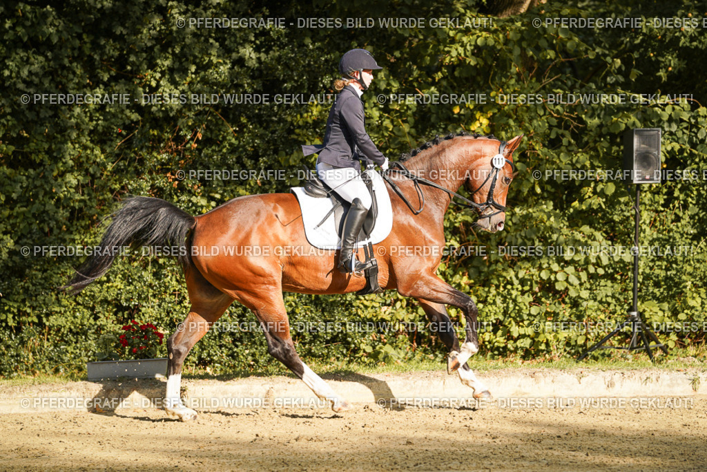 DSC05544 | Pferdegrafie