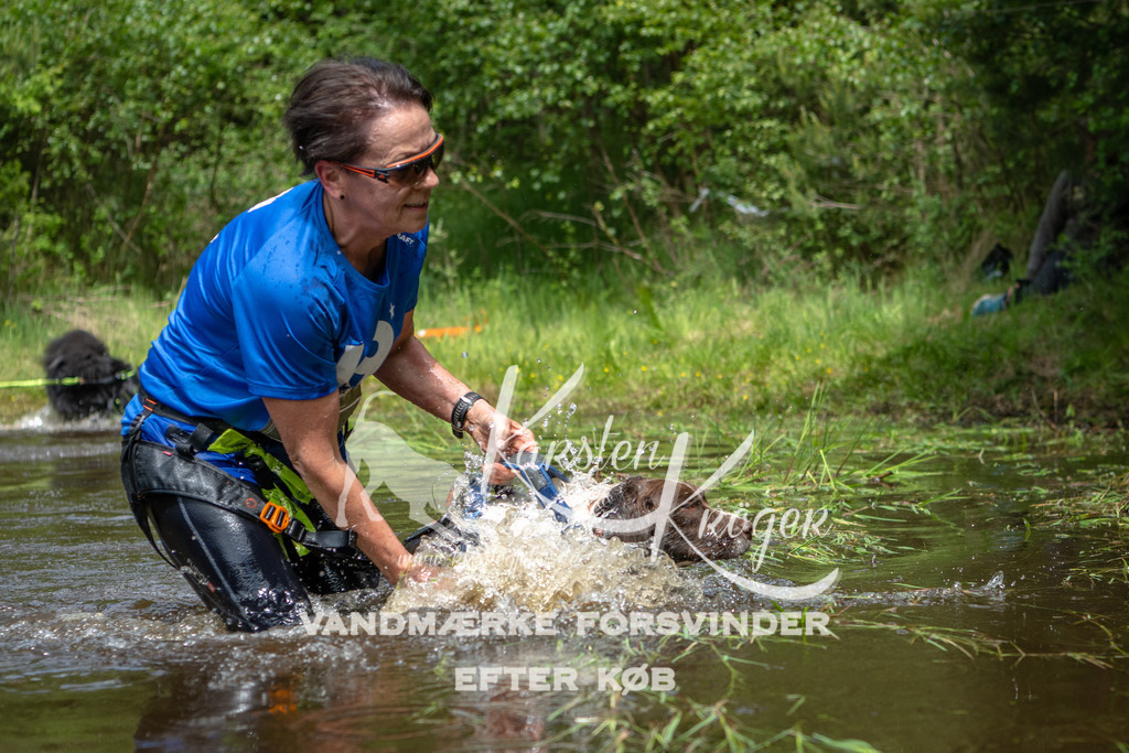 1224DKK992738 | kk-dogfotos
