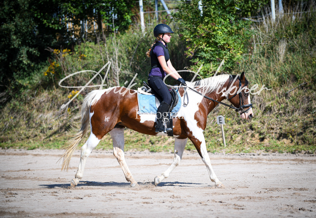 DSC_0140 | anikahuebner - Realisiert mit Pictrs.com