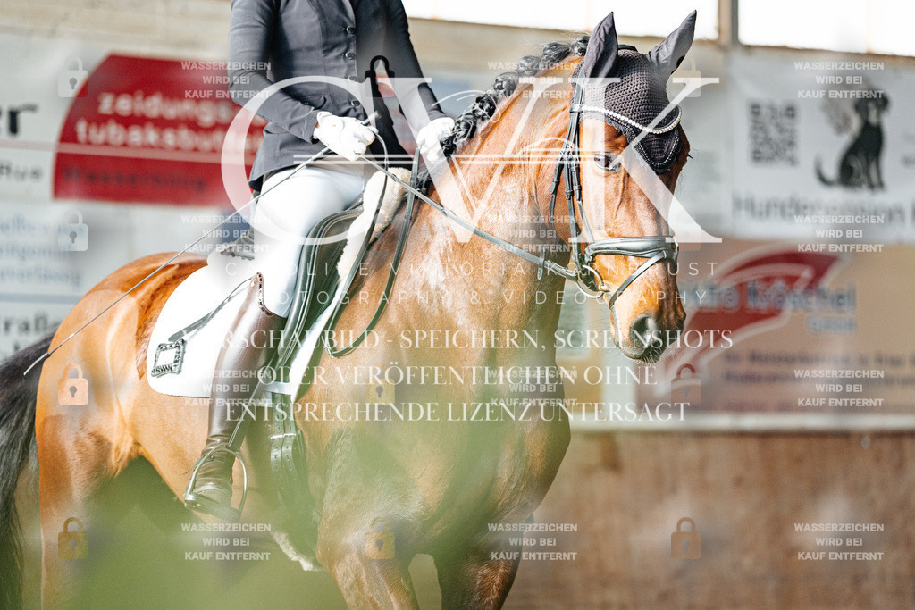 CK903089 | Turnierfotografie Pferdefotografie Trier Rheinland-Pfalz Pferdesport Reitsport Tierfotografie Sportfotografie Pferdevideo Pferdevideografie Equestrianvideography equestrianphotography  - Realisiert mit Pictrs.com