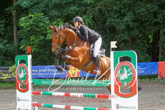 DKP45116 | Turniersportfotografie; Pferdefotografie; Dressurfotografie