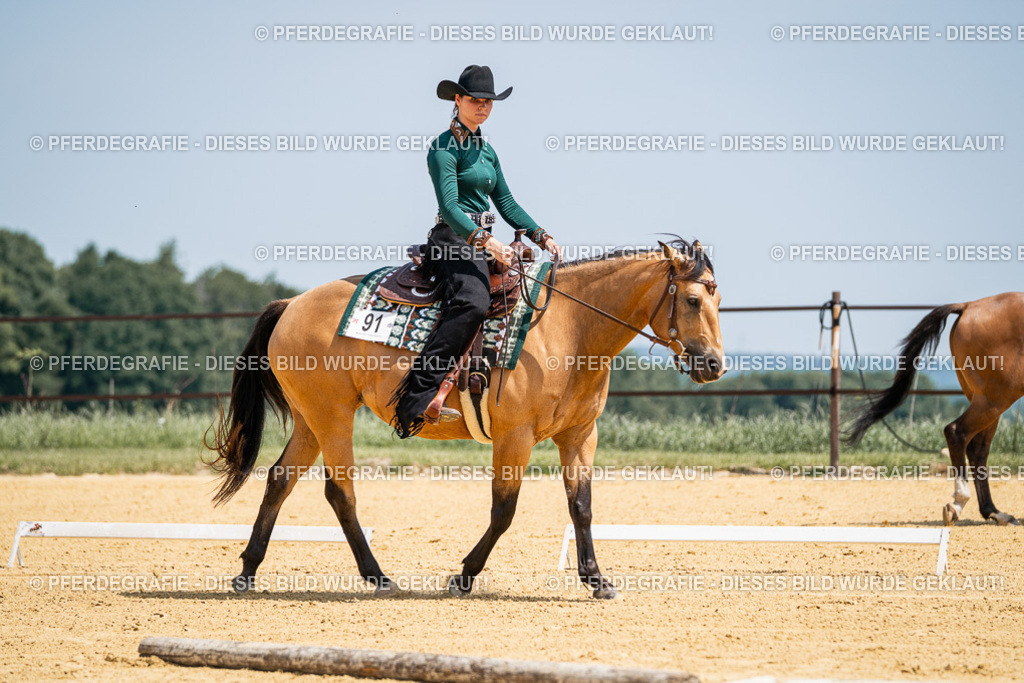 DSC01257 | Pferdegrafie