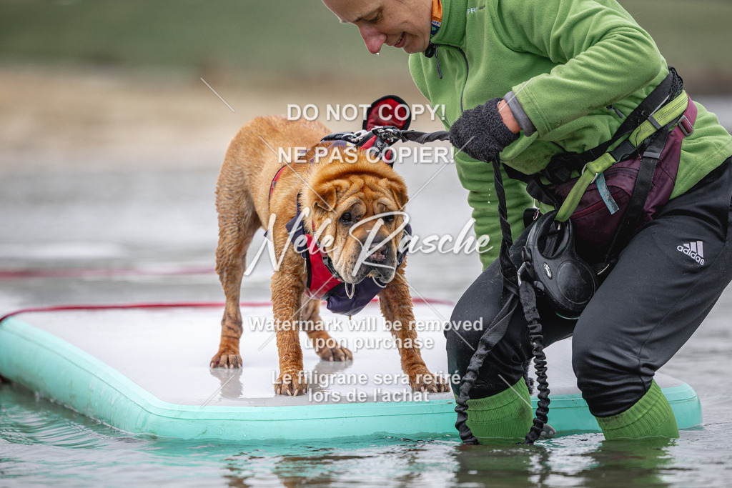 nelerasche_Hulsbeek_Sa1030-1100_736 | nelerasche