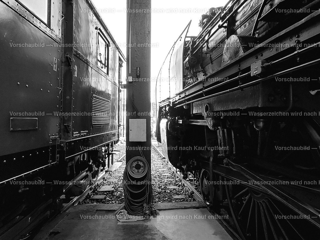 zwei Oldies im Lokschuppen | Dampfloktreffen Dresden - Realisiert mit Pictrs.com