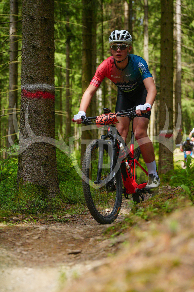FC603782 | Fotogalerie der Treibjagd im Dunkelwald - Dein MTB Etappenrennen im Erzgebirge - Realisiert mit Pictrs.com