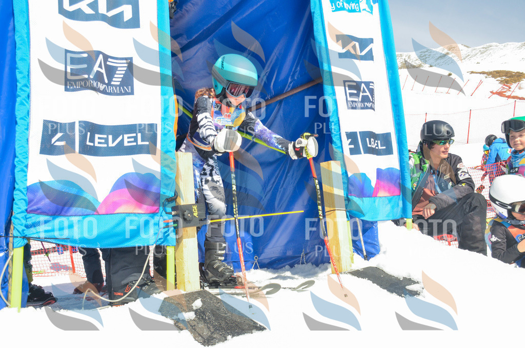 _ELE6144 | holidayphoto