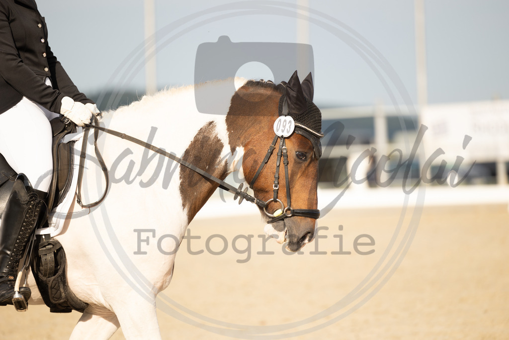 994A1009 | sabrinanicolaifotografie - Realisiert mit Pictrs.com