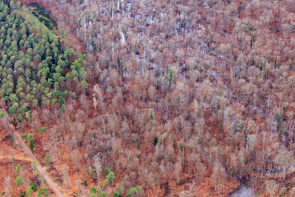 Luftbild: Otterbach mit überschwemmten Wiesen im Bienwald in Wörth am Rhein im Bundesland Rheinland-Pfalz in Deutschland. Foto: IMG_124278.jpg vom 04.02.2021 durch Werner Riehm/FLY-FOTO.de