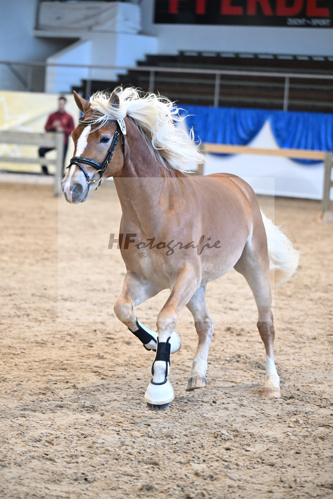 Kat-Nr. 34 nn v. Starino I_Grimminger_48250717 | hf-fotografie - Realisiert mit Pictrs.com